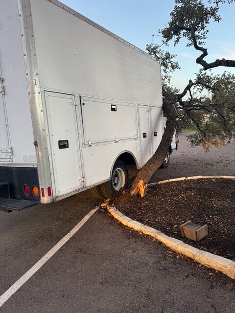 truck accidentally removing a Live Oak tree, owner wanted a tree appraisal